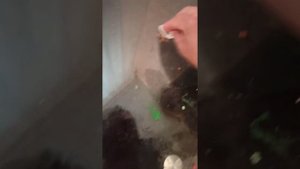 как отмыть пластилин от стекла пола двери стен и т.д, пластилин