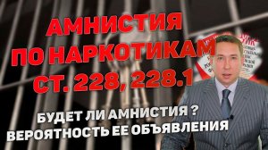 Амнистия по наркотикам. Статьи 228, 228.1, 229.1 УК РФ. Будет ли амнистия по наркостатьям.