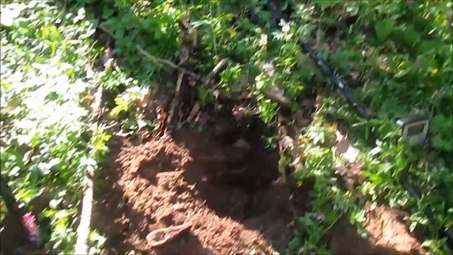 Коп в старом лесу открытие сезона 2017 и приятные находки смотреть онлайн