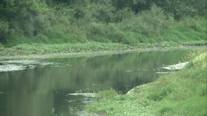 03 07 2015 Экологи обсуждают, как спасти реку Уву в Вавожском районе