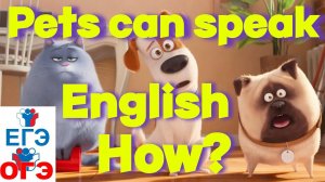 Boost your grammar and listening FAST / БЫСТРО прокачай грамматику и аудирование для ЕГЭ или ОГЭ