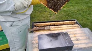 Дачное пчеловодство в Ленинградской области