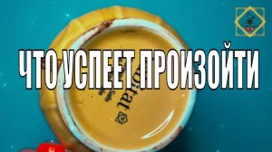 ЧТО УСПЕЕТ ПРОИЗОЙТИ ДО КОНЦА НЕДЕЛИ #ответуолятаро #youtube #youtubeshorts