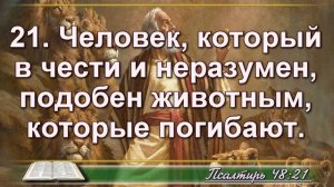 Когда человек превращается в животное | Проповедь