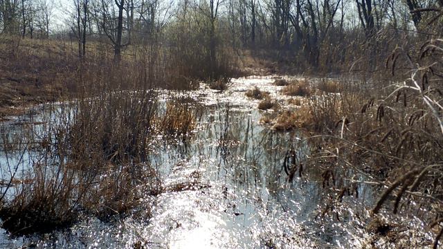 ДУБОВЫЙ ОСТРОВ ВЕРБЛЮЖЬЕГО ЗАЛИВА. ФОТОКОЛЛАЖ (09.04.2020) смотреть онлайн