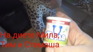 Лечим Степашку.Хорошо,когда любимые рядом!💞💞💞