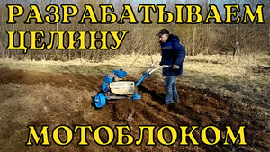 Обработка целины мотоблоком Нева МБ-1