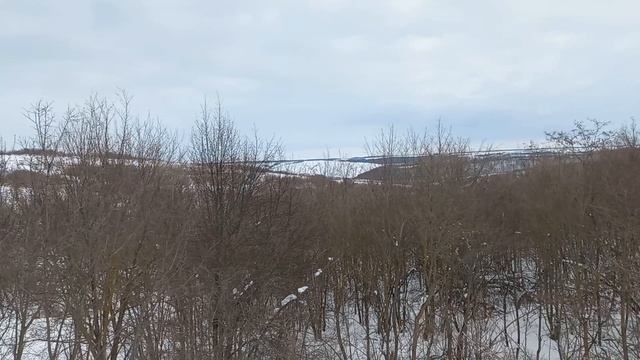 Поход на зимнее озеро. Видео.