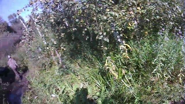 На квадроцикалах на Пихтовый гребень смотреть онлайн