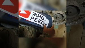 Лодочный мотор, наклейки,как не накосячить.