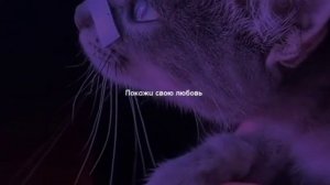 SPEED SONG. Футажи из Тик Тока.