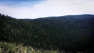 Поход на Лысую гору