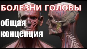 ? Болезни головы (общая концепция)