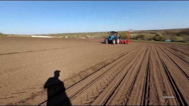Сев подсолнечника 2020г. МТЗ-82 + ТСМ-8000