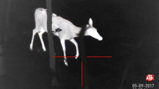 Тепловизионный прицел для охоты до 200м ATN MARS HD 1-5x смотреть онлайн