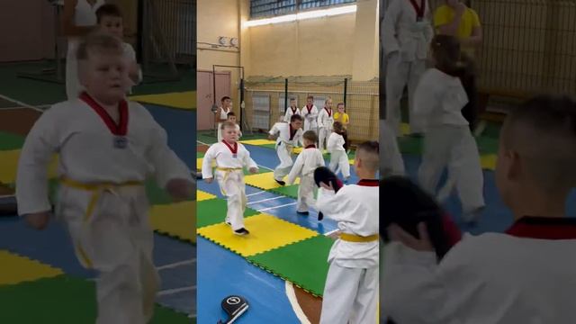 Разножка от Илюхи, обида от Тимура? #taekwondo #тхэквондо #дети смотреть онлайн