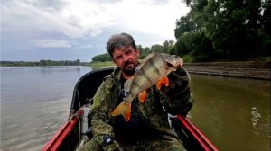 Окуневый день. Рыбалка на Оби ( Сузун ) 16 июля 2023г. Джиг по коряжнику. Щука, Судак, Окунь.