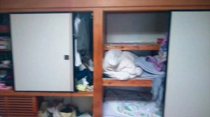 ТРАДИЦИОННЫЙ ЯПОНСКИЙ ДОМ ИЗНУТРИ (Жизнь в Японии)