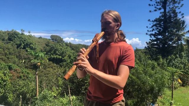 Elemental Flutes - Mango/Monkey Pod Native American Style Flute Key of F# смотреть онлайн
