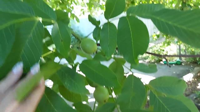 #VLOG: Это Просто Не Высказать Словами 16.06.21 смотреть онлайн