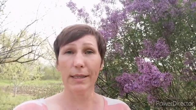 2 мая 2020 г. Шок цены. Краснодарский край. смотреть онлайн