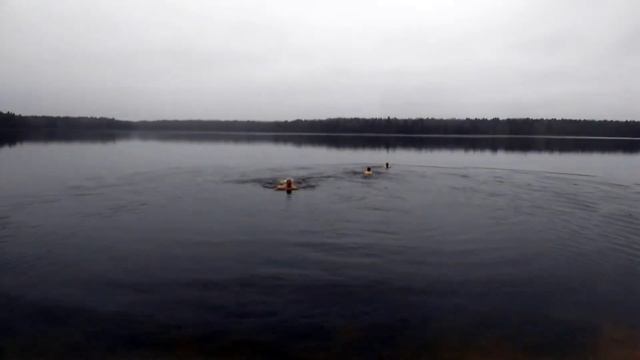 Lake Kroman Belarus,Озеро Кромань Беларусь смотреть онлайн