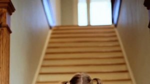 РАЗВИТИЕ РЕБЕНКА В 2 3 ГОДА ЧТО НУЖНО ЗНАТЬ