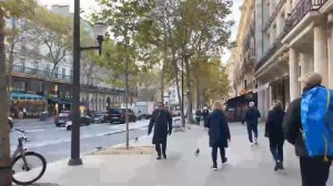 ??ПАРИЖ Ежедневная прямая трансляция 24 НОЯБРЯ 2022