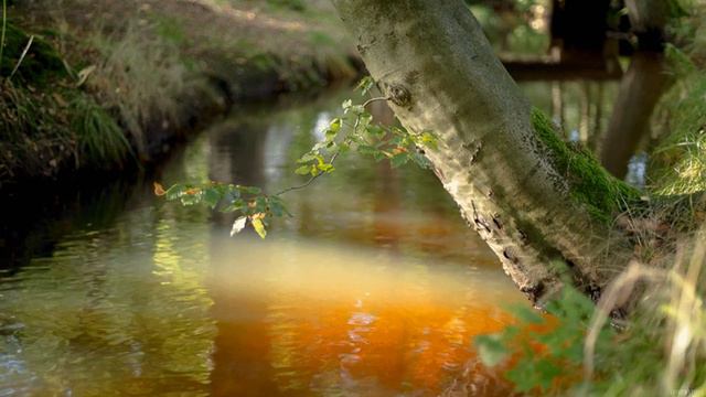 Гармония природы. Вода