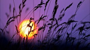 Дервиш Хан - Төн