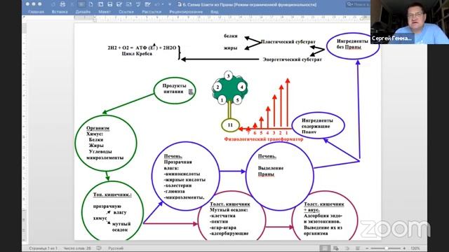 Виграха Обзор мировых религий Занятие 26 смотреть онлайн