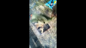 Расплавил свинец!