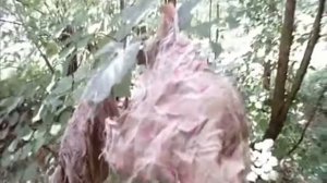 Восстановление ржавых авто дисков (штамповки)