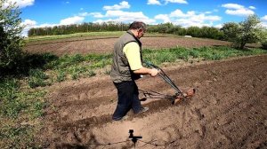 Высев арахиса без сеялки. Экзотическое семейство бобовых.Sowing peanuts without a planter. Exotic