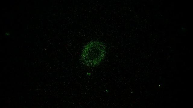 M57 Ring Nebula with Night Vision in Real Time смотреть онлайн