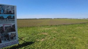 Бесплатная дорога с Ростова на Дону до Краснодара