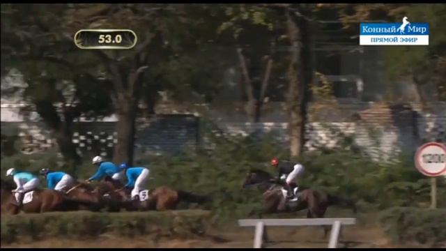 РИ.Приз Фрагранта - Альманах смотреть онлайн