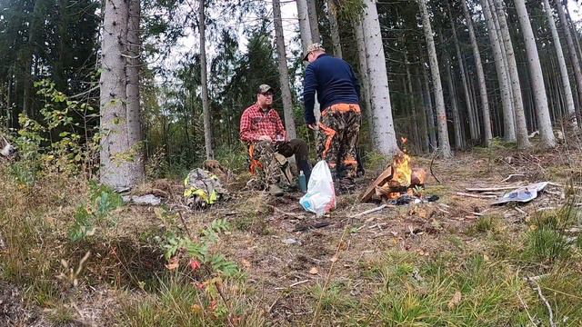 Охота на косулю в Швеции смотреть онлайн