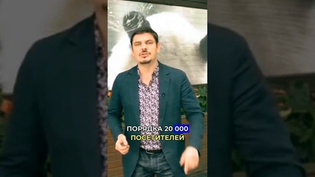 Вам нравятся панды? Хотите узнать больше об этом национальном сокровище Китая? Как прокормить панду?