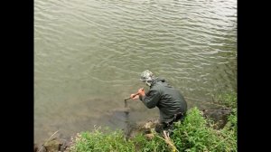 Рыбалка на сома донками, как поймать сома, на что ловить сома, сом в Мокше, старые видеозаписи