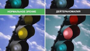 Как выглядит Мир глазами дальтоника?