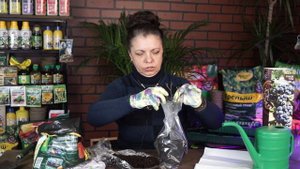 Как сохранить саженцы до посадки ✿
