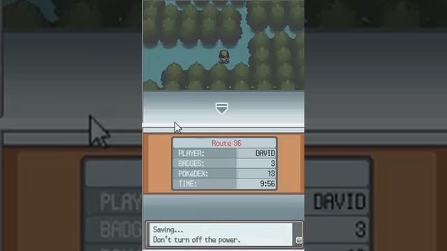 Pokemon Heartgold NDS Image Crash Fixed