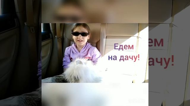 Кот ученый сказка смотреть онлайн