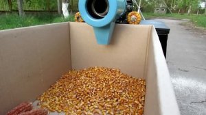 Электрическая теребилка кукурузы (кукурузолущилка)