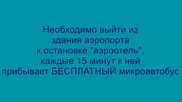 недорого поесть в домодедово смотреть онлайн