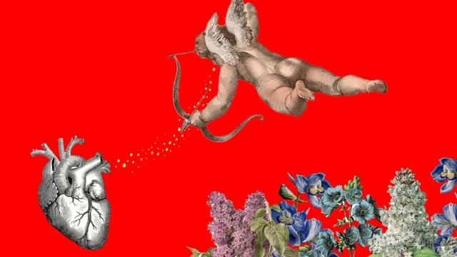 Video Clip Sara Bayona H - See You Again / Tyler, The Creator, Kali Uchis смотреть онлайн