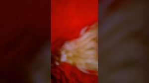 Что делать если забыл пароль на планшете объясняю