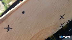 Hatsan 125, пробивная способность. Разный вес пуль, 0,52\0,53\0,7\0,99 г. Серьезная пневматика!