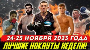 Бокс. ЛУЧШИЕ НОКАУТЫ НЕДЕЛИ! 24 -25 ноября 2023 года